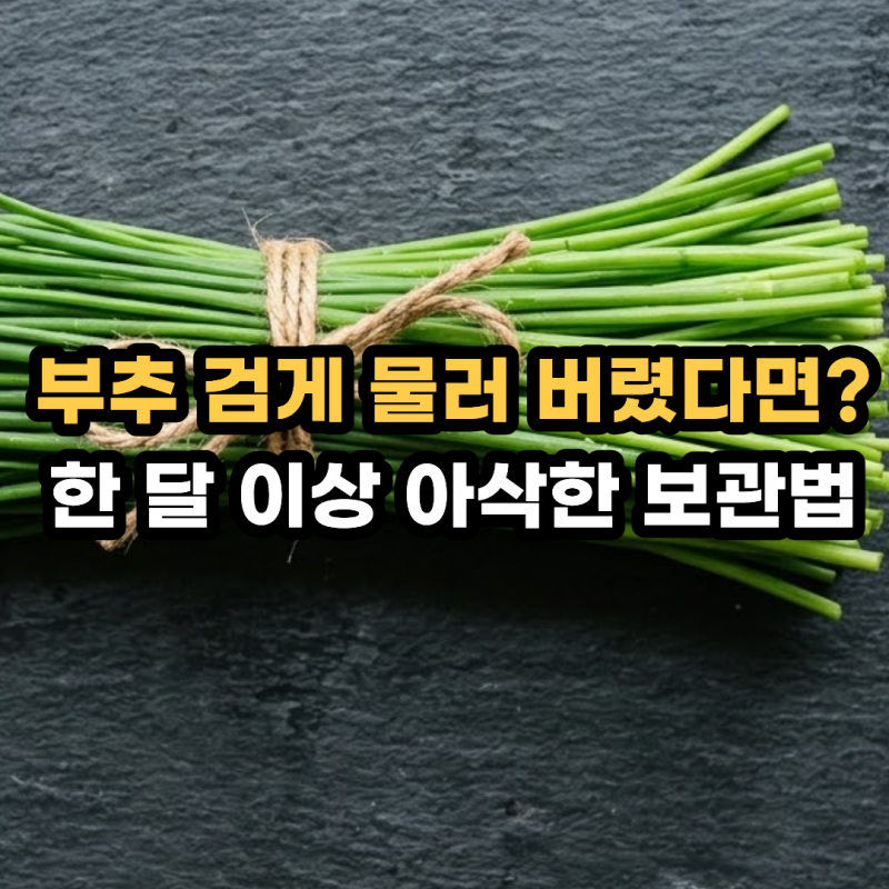 부추 보관법 무르지 않고 한 달 싱싱하게! 냉장 냉동 보관 꿀팁 & 부추 효능