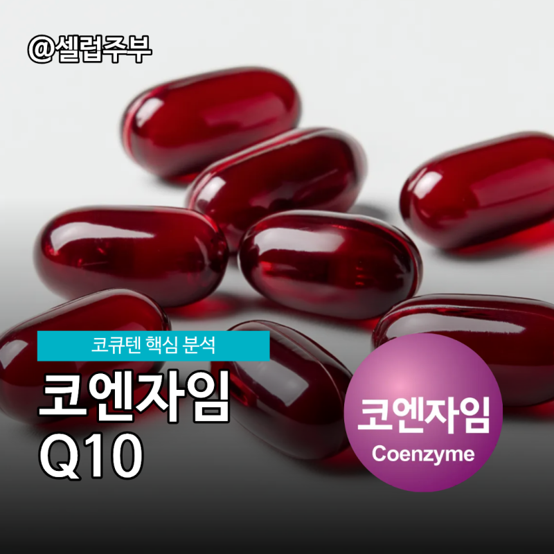 코엔자임Q10 기능성, 코큐텐 혈압의 관계!