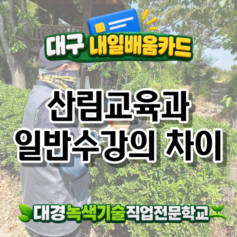 대구 내일배움카드 산림교육과 일반수강의 차이