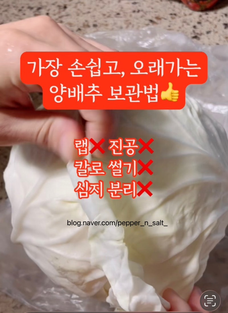 [영상] 가장 손쉽고, 한 달 동안 갈변 없는 매직같은 양배추 보관법