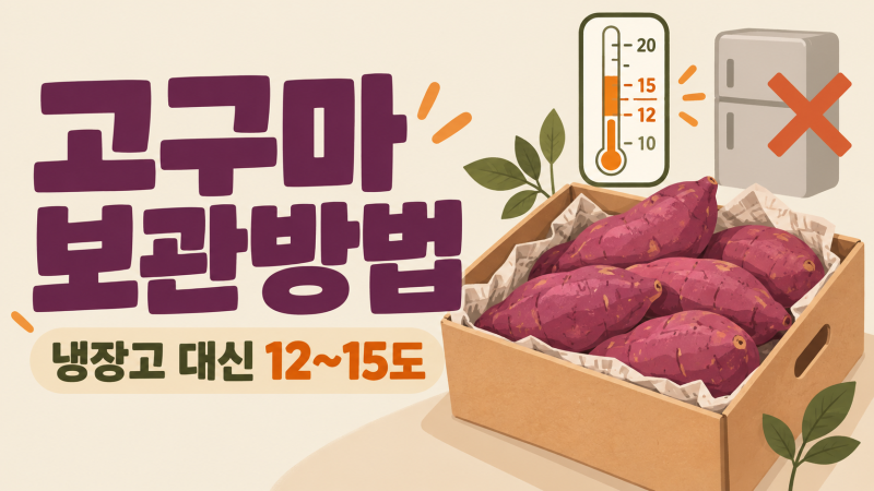 고구마 보관방법, 냉장고 대신 집에서 12~15도 자리 찾는 법