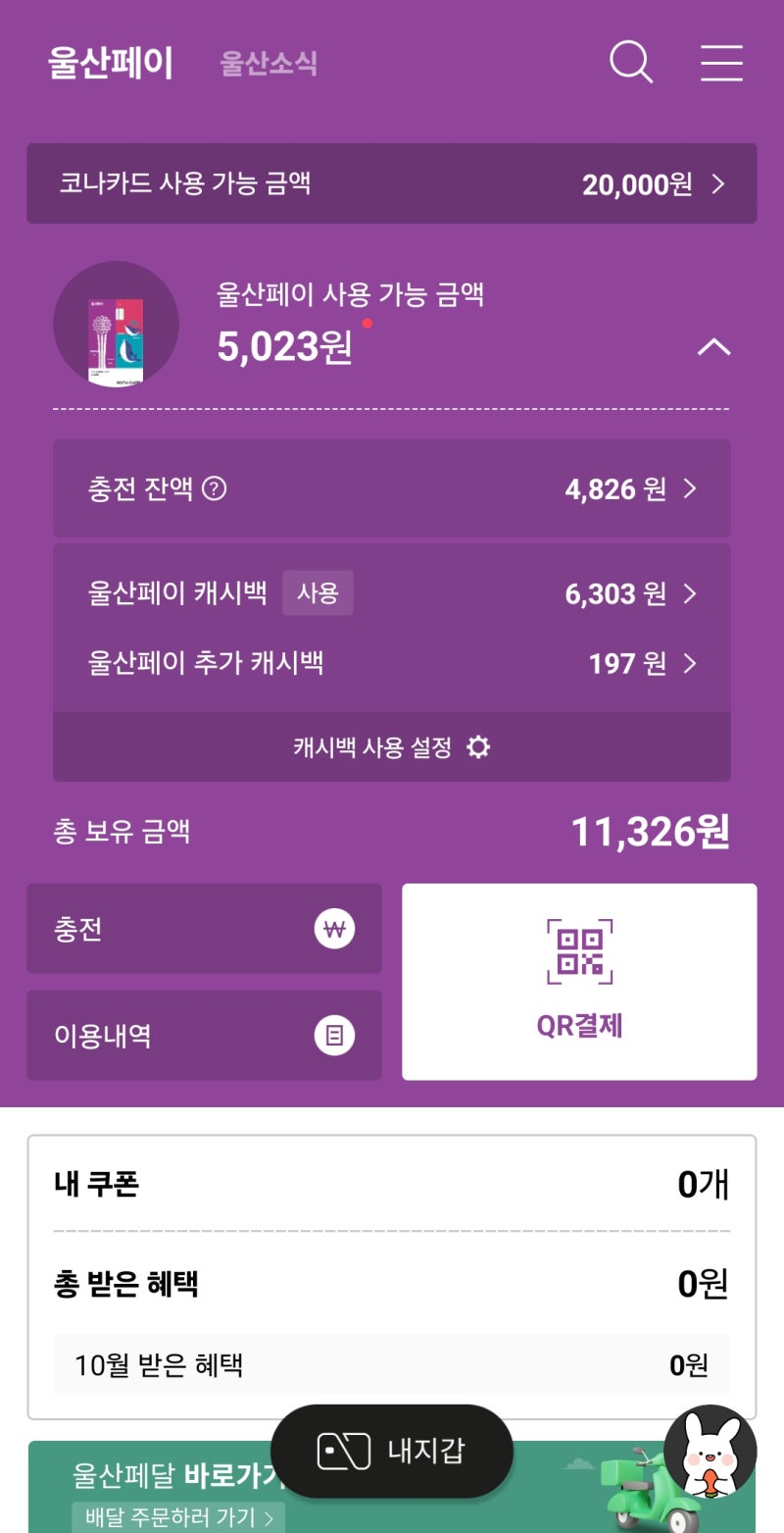 울산페이 복잡한 구조, 불편했던 점