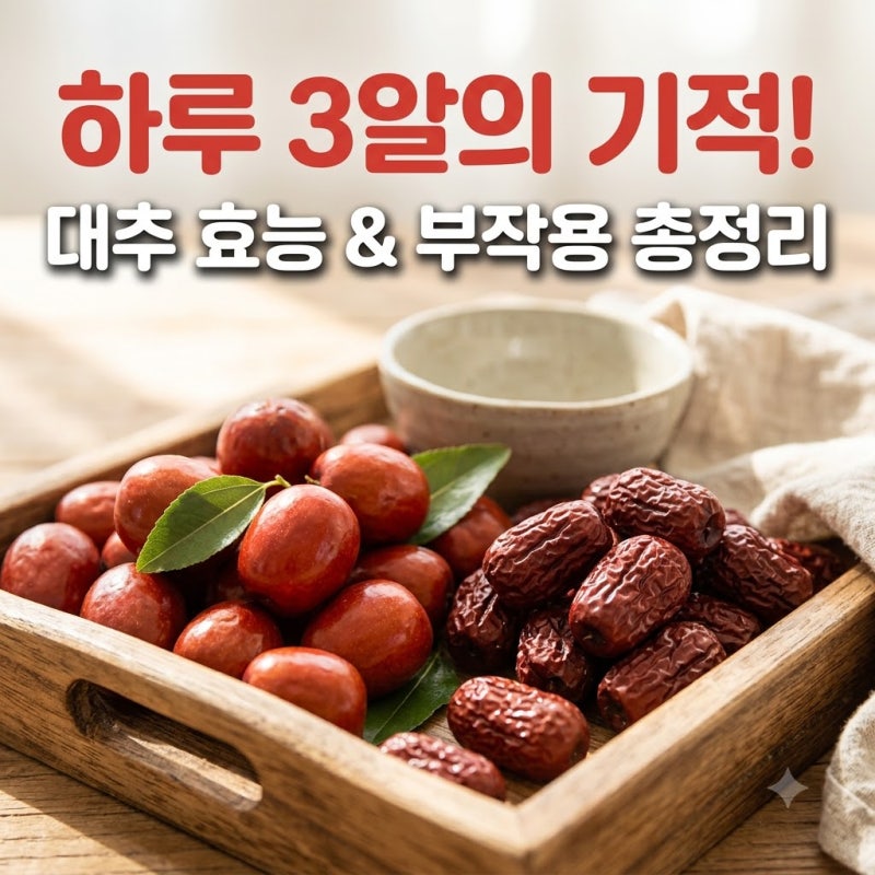 대추 효능 부작용 따뜻한 성질 건대추 먹는법 총정리