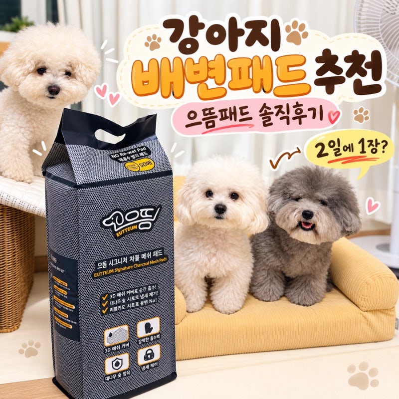 강아지 배변패드 추천 으뜸패드 냄새 걱정 줄인 2일에1장 후기