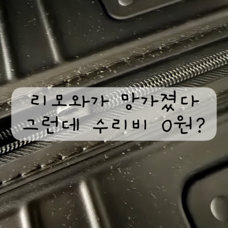 리모와 캐리어 구매부터 파손 AS까지｜신세계 강남에서 산 뒤 직접 겪어본 서비스 후기