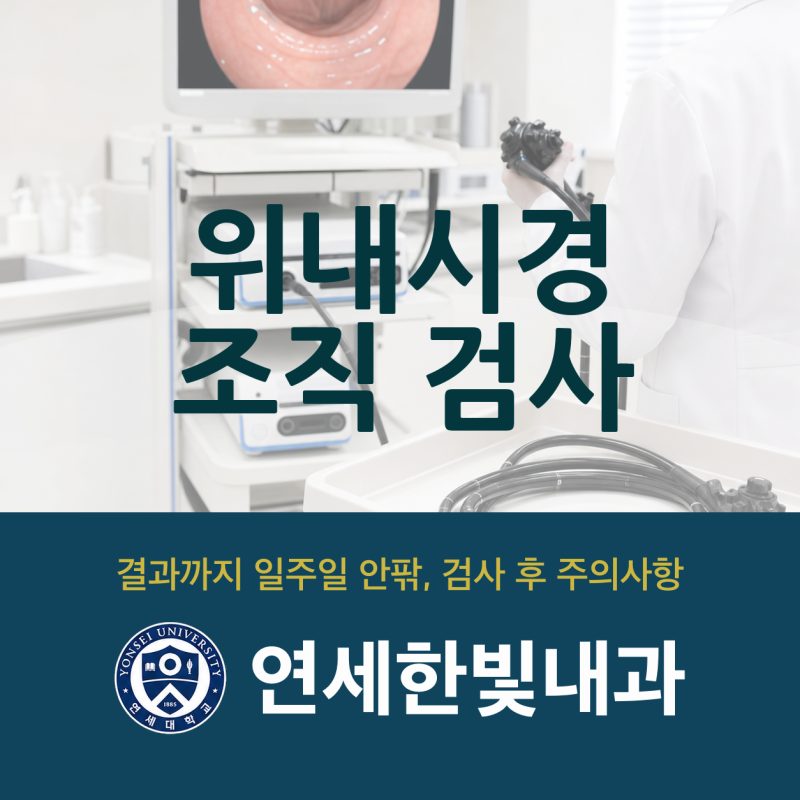 만년동 내과 위내시경 조직검사, 결과 기간과 검사 후 주의사항