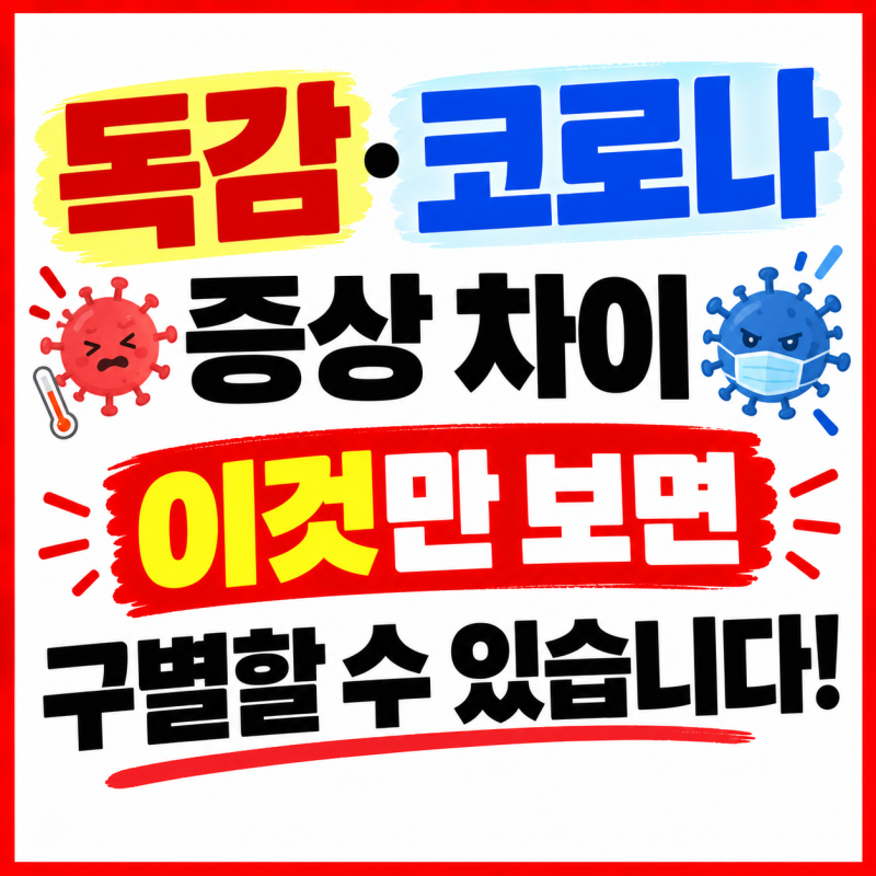 독감 코로나 증상 차이 이것만 보면 구별할 수 있습니다!