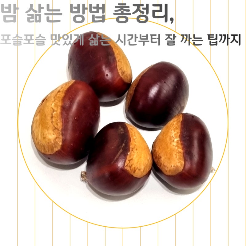 밤 삶는 방법 총정리, 포슬포슬 맛있게 삶는 시간부터 잘 까는 팁까지