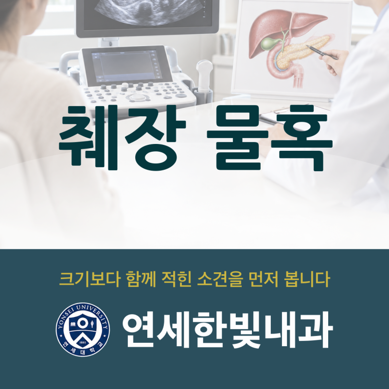 둔산동 내과 췌장 물혹, 복부 초음파에서 발견됐을 때 볼 신호