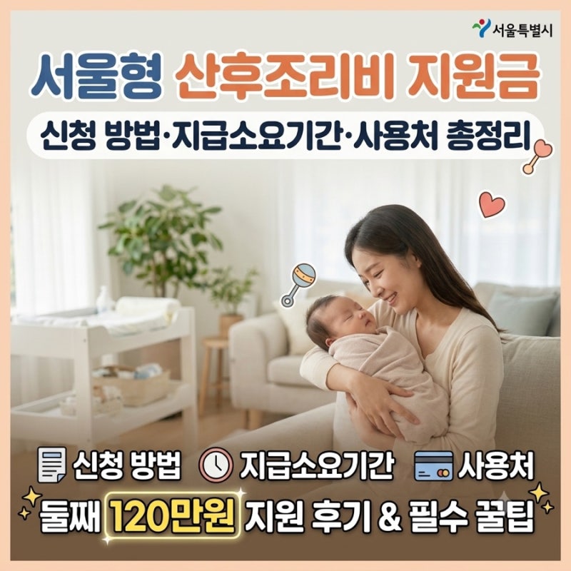 서울형 산후조리비 지원금 신청 방법·지급소요기간·사용처 총정리 (둘째 120만원 지원 후기 ....