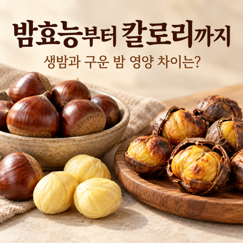 "밤효능"부터 칼로리까지, 생밤과 구운 밤 영양 차이는?영양성분