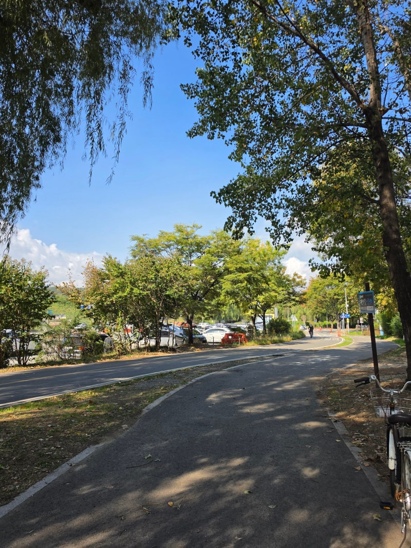 강서한강공원 피크닉 텐트존 솔직 후기: 물멍 실패하고 찾은 찐 명당 자리(흐린날씨 보정없....