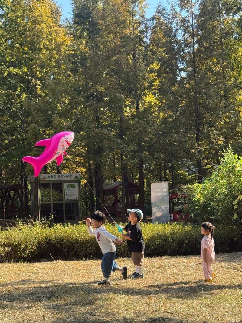 주말에 인천 아이와 가볼 만한 곳 늘솔길공원｜ 양떼목장부터 짚라인까지! 우리 애들은 그저....