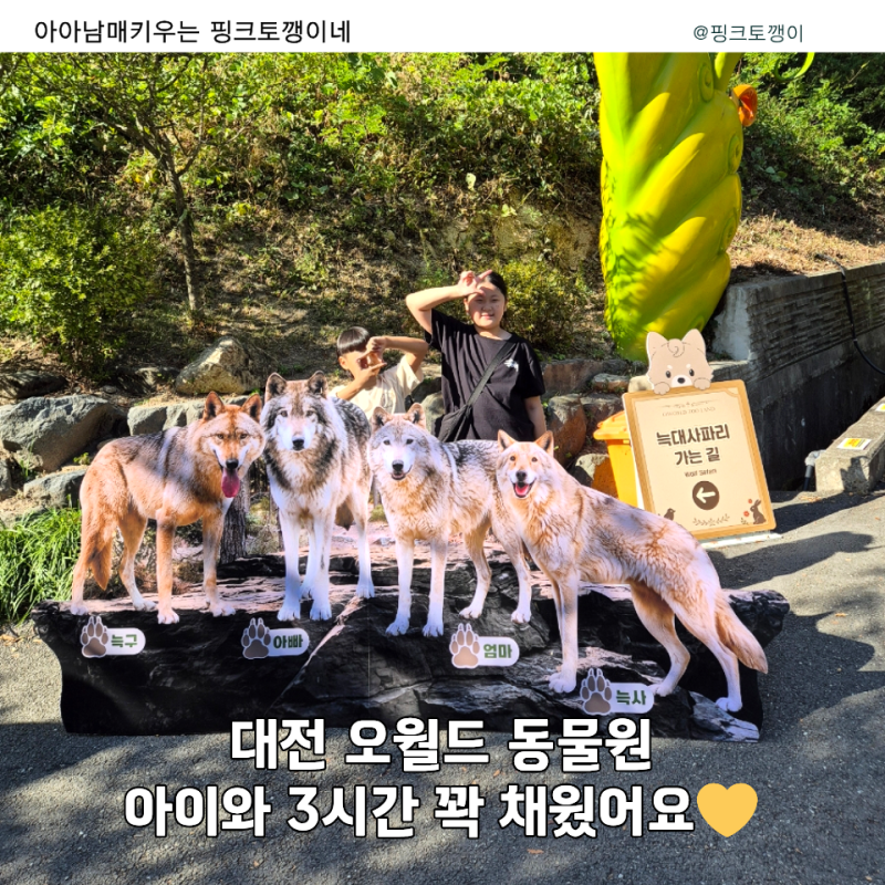 대전 오월드 동물원 아이와 가볼만한곳｜버드랜드까지 3시간 관람 후기