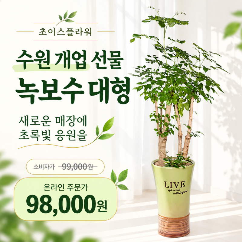 수원 개업 선물, 매장에 어울리는 대형 화분