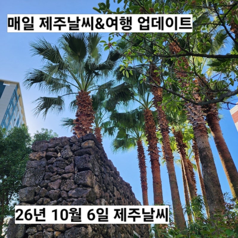 10월 6일 제주도 날씨 서귀포 실시간 옷차림 아침저녁 쌀쌀한 가을 날씨 한라산 예보