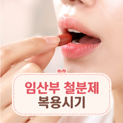 임산부 철분제 복용시기 복용시간 변비 부작용 완화 꿀팁