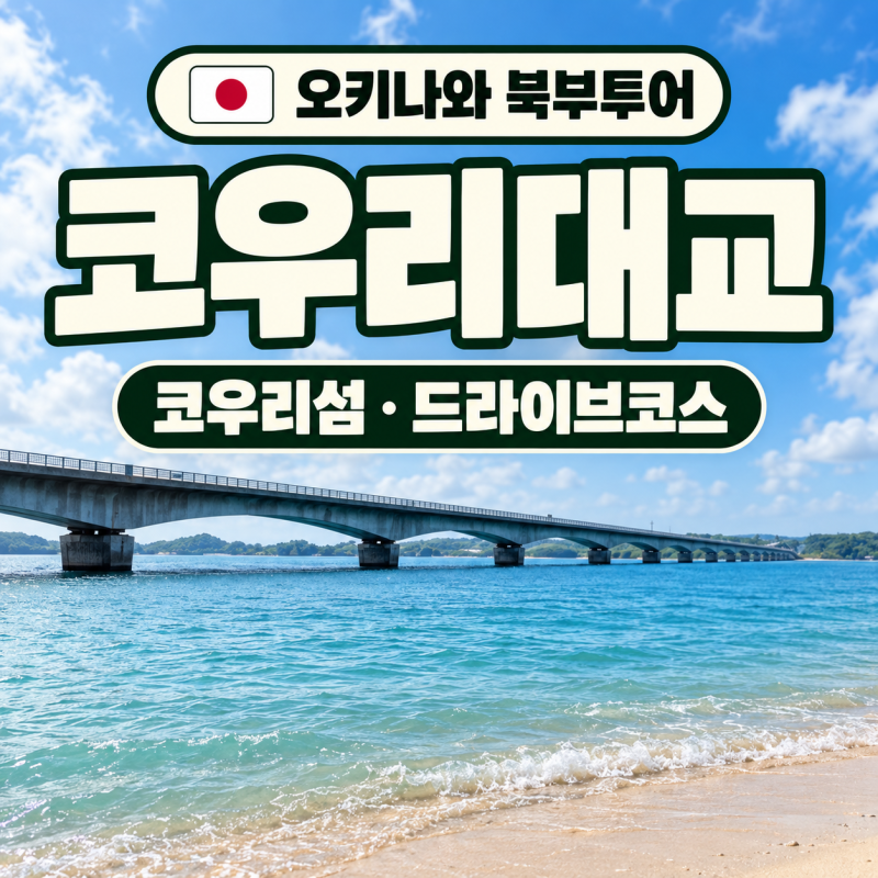 오키나와 북부투어 코우리대교·코우리섬 후기｜드라이브 코스 가볼만한곳