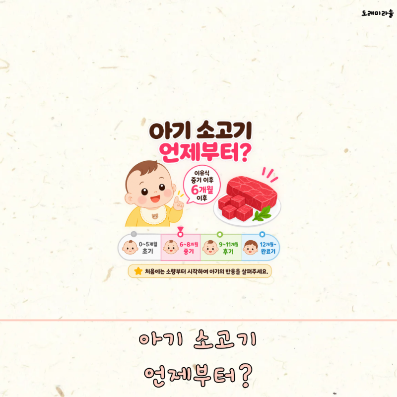 아기 소고기 언제부터 언제까지 부위 효능