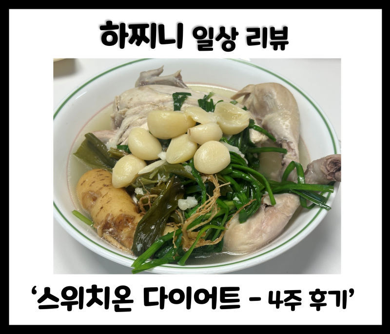 박용우 스위치온 다이어트 4주 차 후기 (3주차 2트)