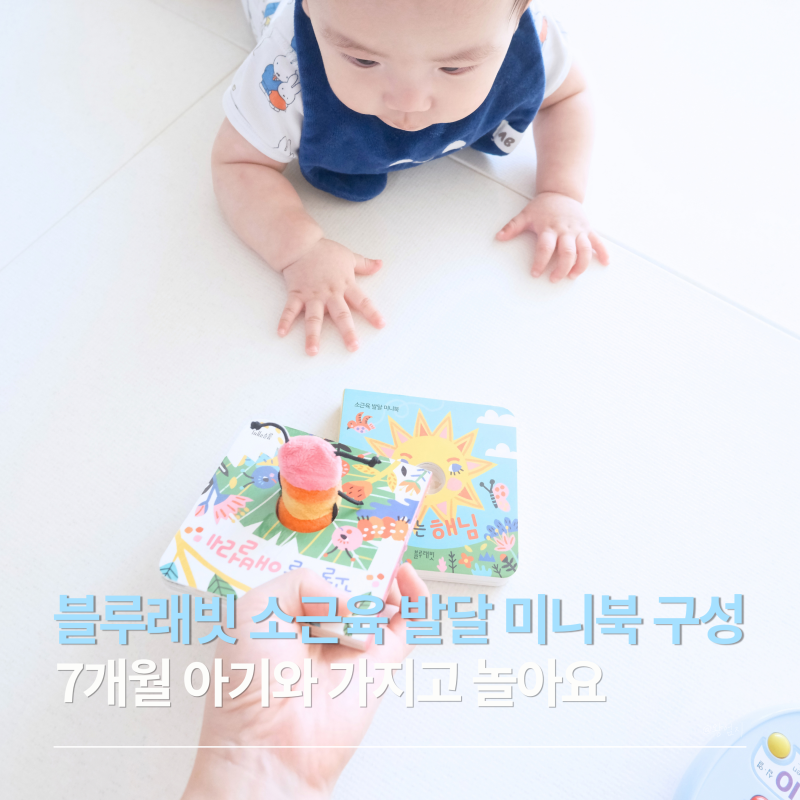 블루래빗 아기언어발달 놀이 7개월 아기가 좋아하는 소근육 발달 미니북