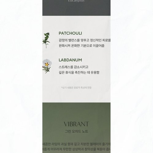 아로마티카 메디테이팅 디퓨저 랍다넘 패츌리 천연 화장실 집들이 생일선물추천 추천 이유