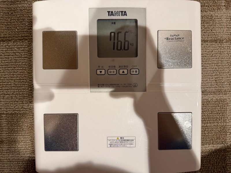 일본마운자로 5개월 차 다이어트 체중 체지방 변화 -12.1kg 감량