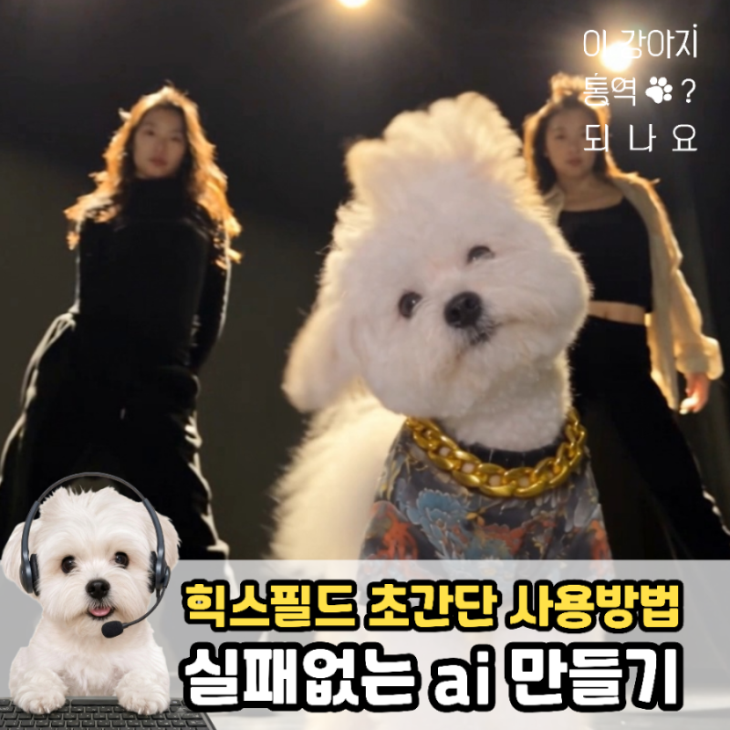 요즘 난리 난 "힉스필드" 강아지 비욘세 AI 영상 만들기, 무료횟수 늘리기 꿀팁(레퍼런스 영상....