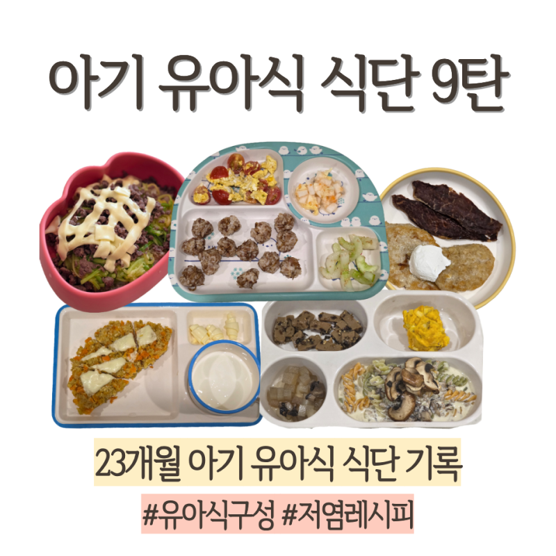 아기 유아식 식단 9탄ㅣ두 돌 아기 저염 현실 유아식 구성