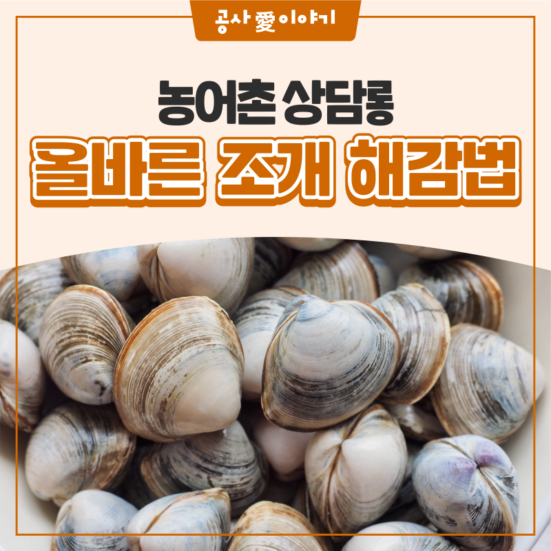 조개는 얼마나 해감해야 할까?