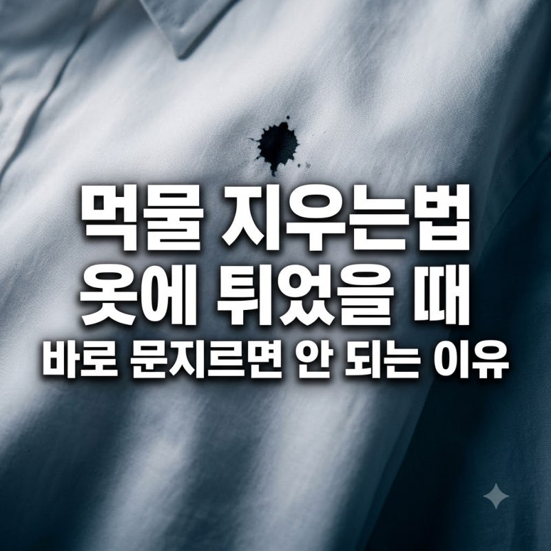 먹물 지우는법 옷에 튀었을 때 바로 문지르면 안 되는 이유