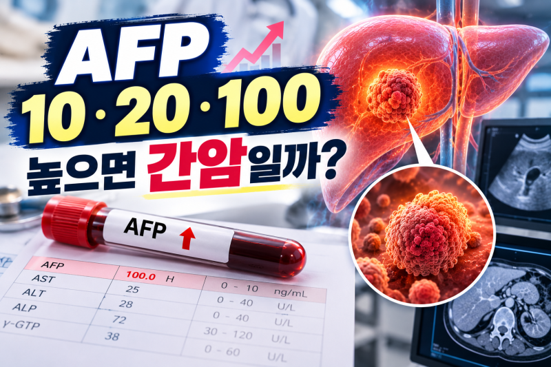 AFP 10·20·100 높으면 간암일까? AFP 정상수치와 상승 원인 총정리