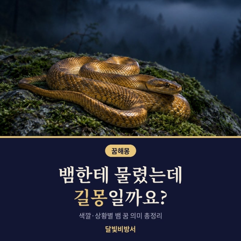 뱀한테 물렸는데 길몽? 뱀 꿈 해몽, 색깔·상황별 의미는?