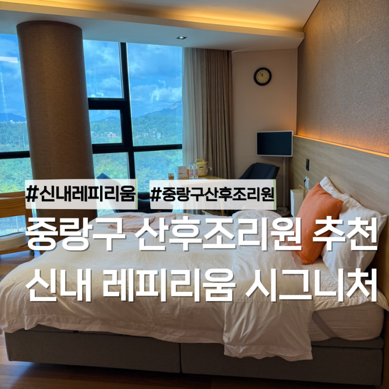 퇴소 전날 쓰는 행복했던 신내 레피리움 산후조리원 천국 12박 13일 후기 (+사랑하는 복댕이와....
