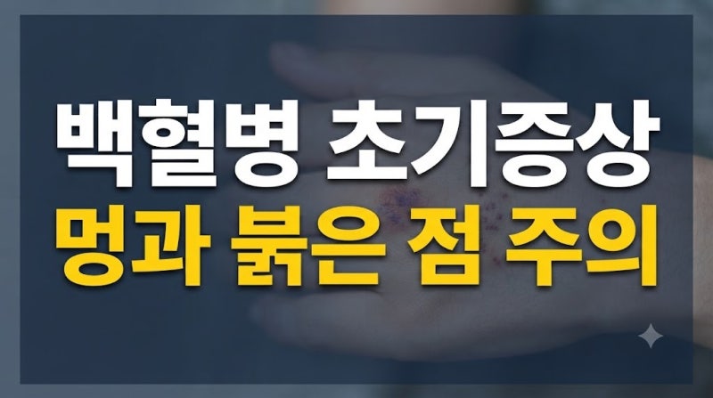 백혈병 초기증상과 멍·피부 변화, 치료와 완치율까지 알아보기