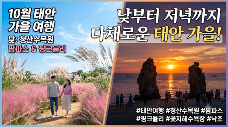 10월 태안 가을 여행, 청산수목원 팜파스부터 꽃지 낙조까지