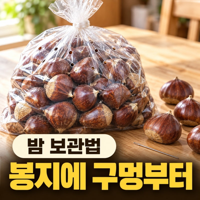밤 보관법, 봉지에 구멍부터 뚫으세요｜냉장 2~4℃면 두 달 가요