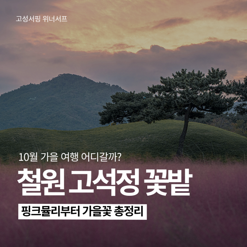 10월 추천여행지 강원도 철원 가볼만한곳 고석정 꽃밭 가을 여행 총정리