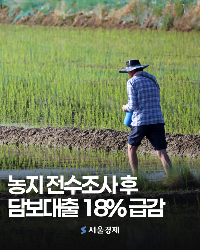내 논·밭도 위험하다? 전수조사 이후 농지담보대출 18% 급감