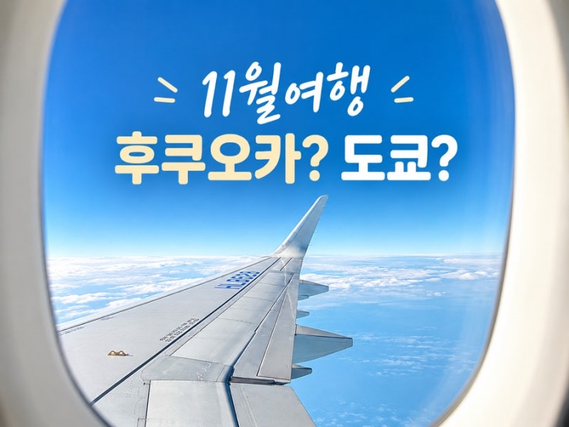 11월 일본여행 고민이라면? 후쿠오카 도쿄 11월에 가기 좋은 이유