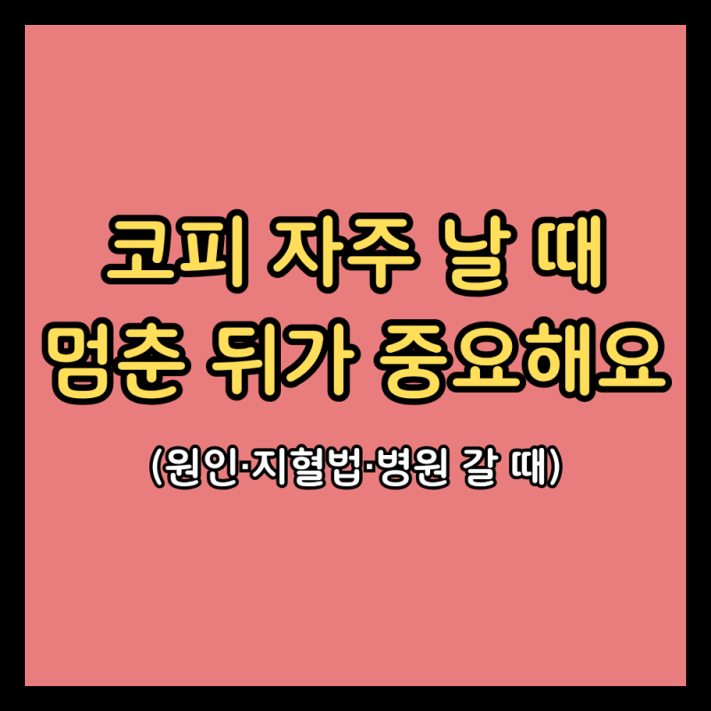 코피 자주 날 때, 멈춘 뒤에 하면 안 되는 것 (코피 원인·멈추는법·아이 코피·병원)