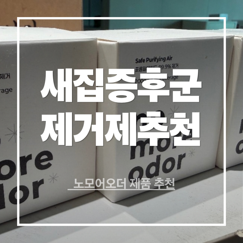 새집증후군제거방법 노모어오더 새집증후군제거제 직접 사용 후기