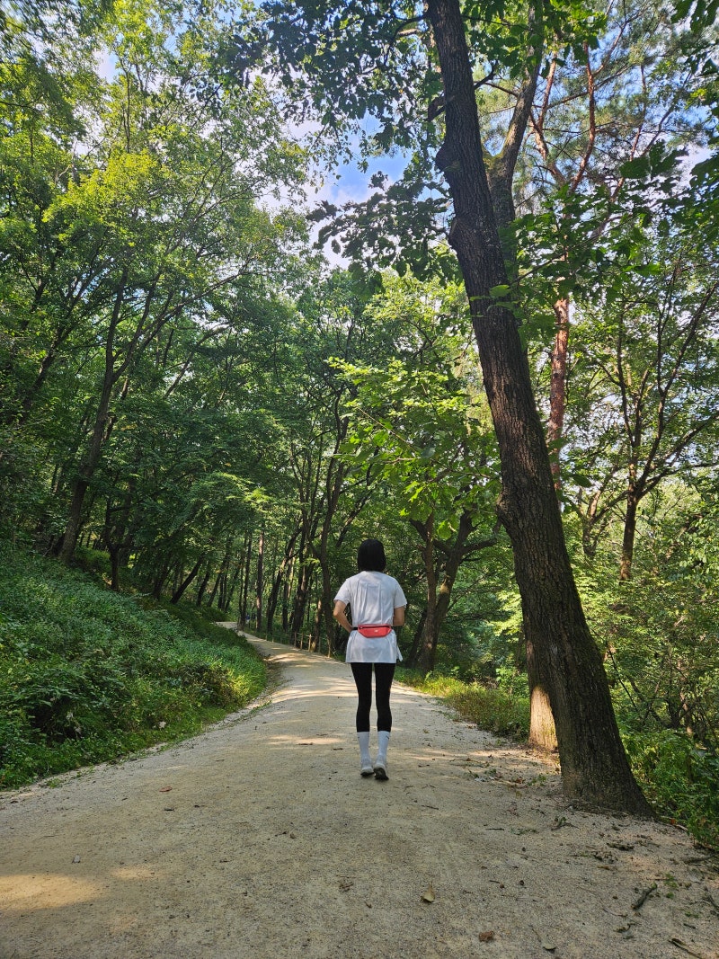 (내돈내산)러닝벨트 추천, 뉴발란스 PF 스트레치 벨트백·오니지 H16 내돈내산 후기
