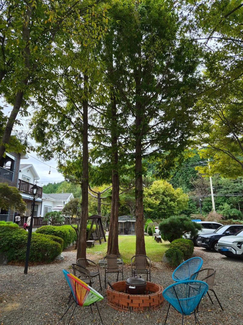 충남 태안 가볼만한곳 안면도 꽃지해수욕장 숙소 추천 꽃지구름펜션 ft. 안면도 수산시장(대....