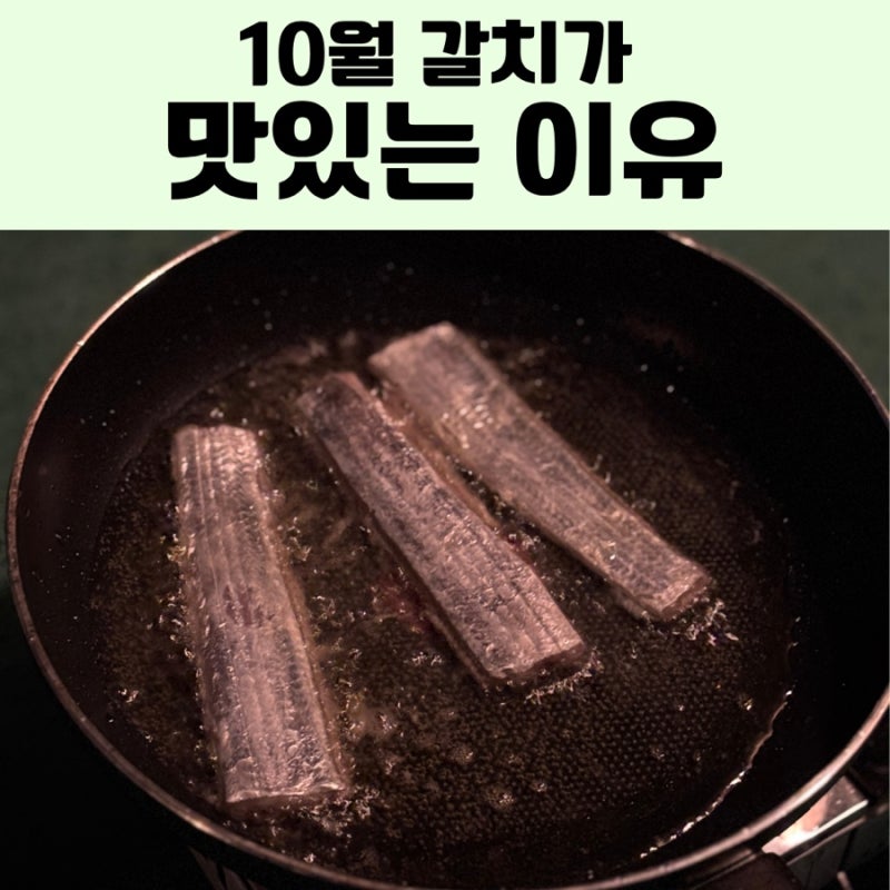 갈치 효능 4가지, 갈치 고르는법·손질법·보관법