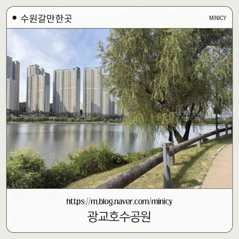 [광교 호수공원] 수원가구박람회 갔다가 광교 호수공원에서 하루종일 놀기!!! (주차장 꿀팁)
