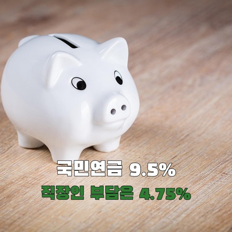 국민연금 보험료율 2026년 9.5%, 직장인과 지역가입자 부담은 얼마나 다를까?