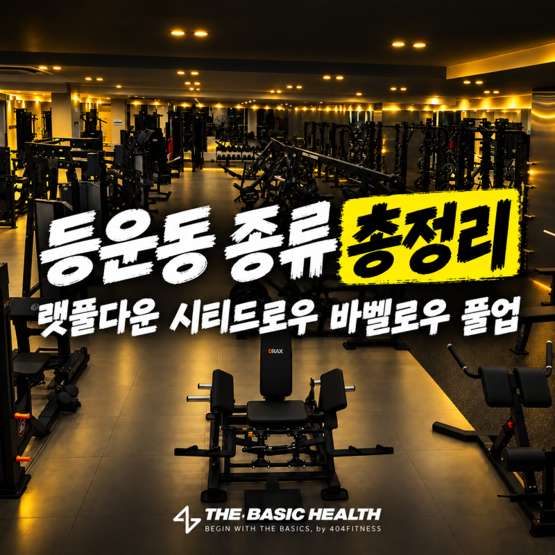 [명지/명지헬스장/명지PT]★더베이직헬스 명지오션점★등운동 종류 총정리 | 랫풀다운·시티....