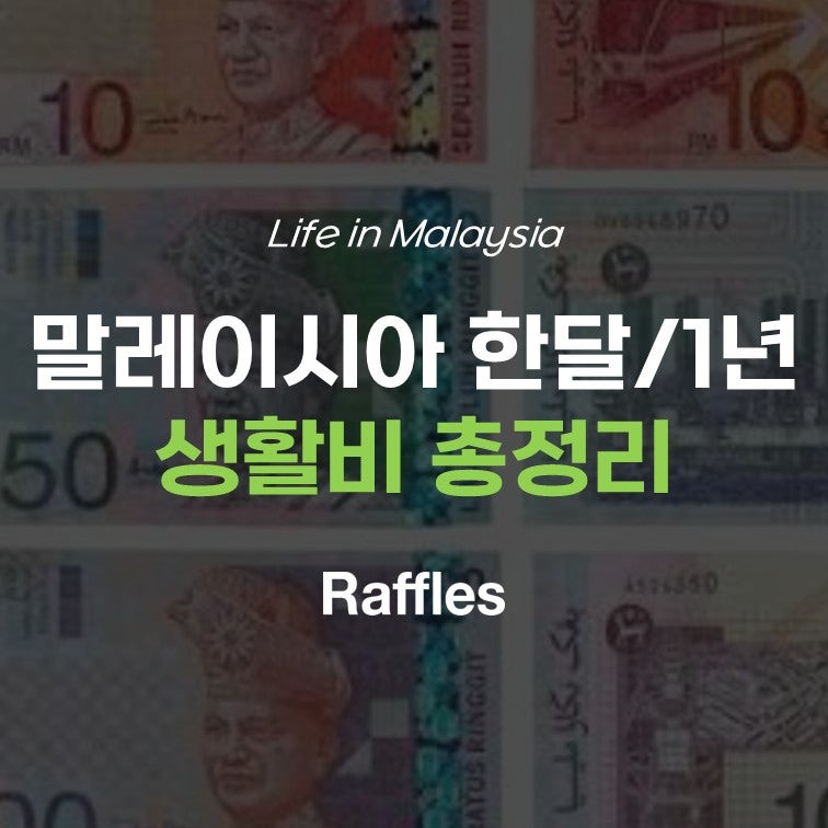 말레이시아 유학, 생각보다 돈 많이 들까? 1년 물가 총비용 계산해보니 (쿠알라룸푸르, 조호....