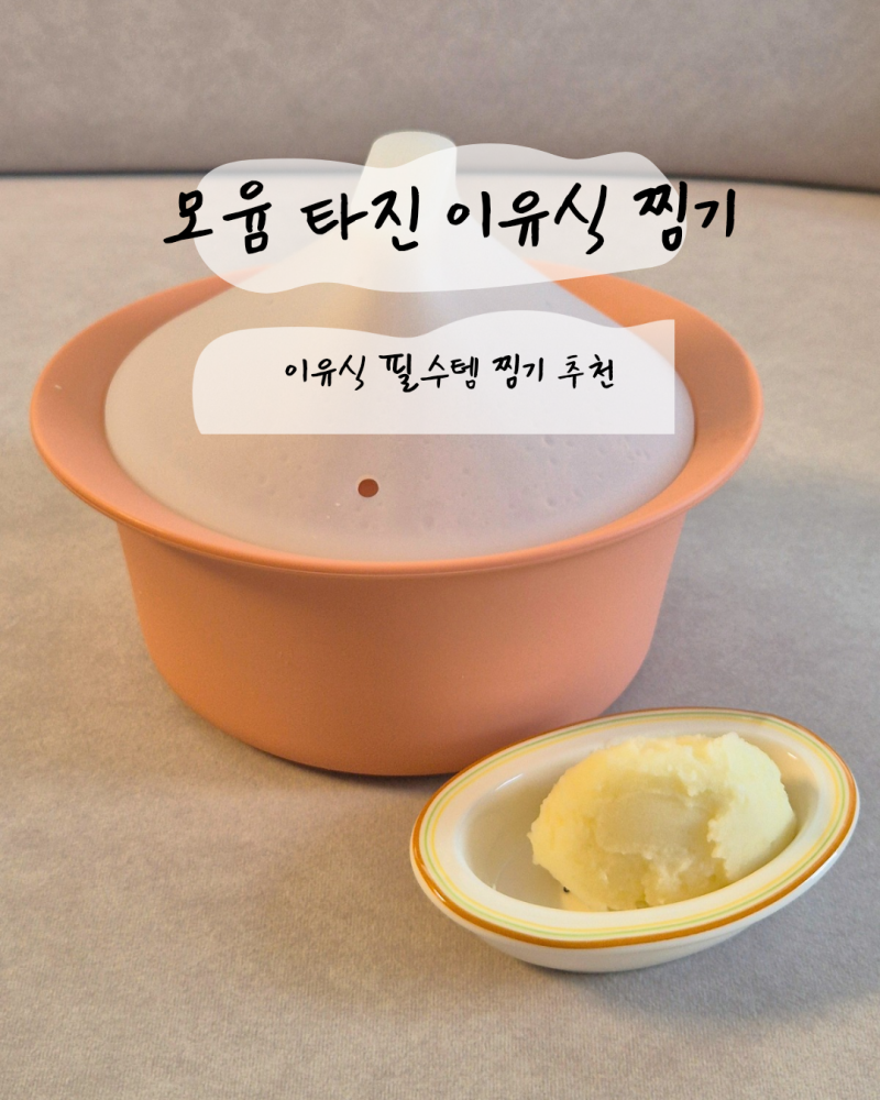 간편 이유식 필수템 모윰 타진 이유식 찜기 이용방법 및 찜기 레시피 추천